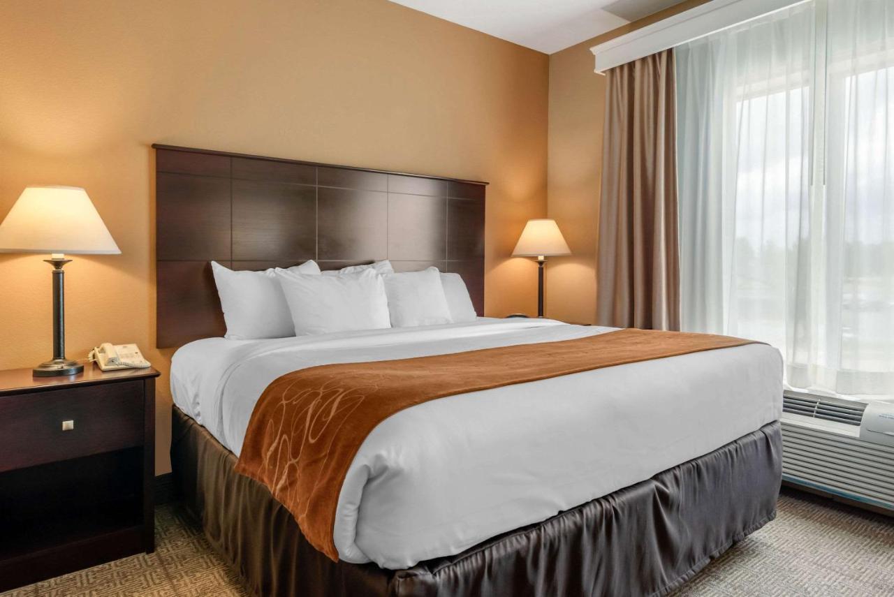 Comfort Suites Near Route 66 스프링필드 외부 사진